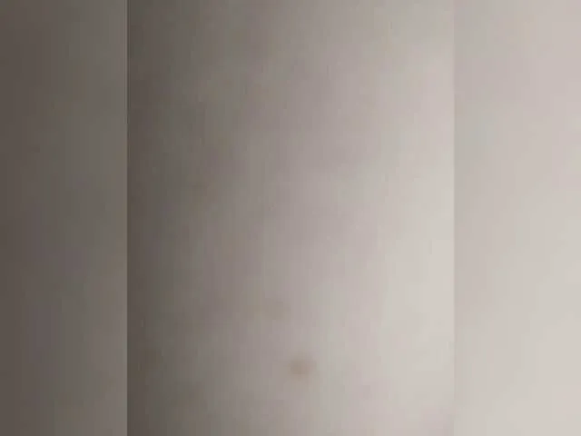 MarilynRainbow – webcam model profile photo Image 14