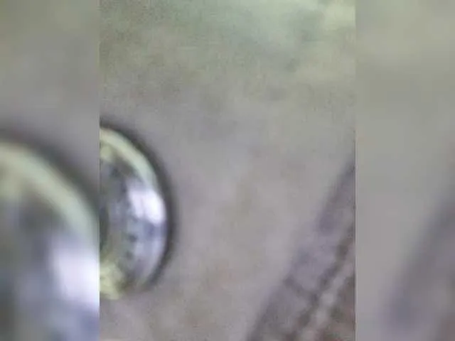 TyleneBuck – webcam model profile photo Image 7