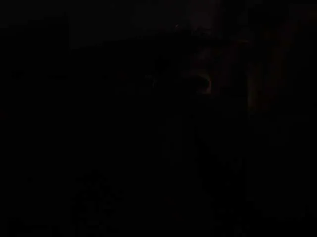 LoraDevine – webcam model profile photo Image 2