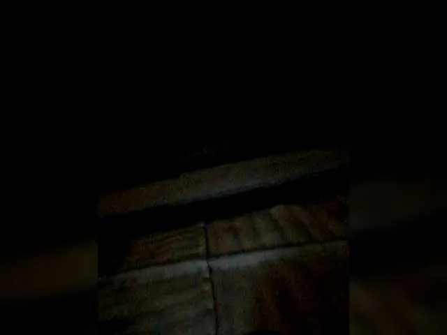 Iriska2025's Thumb Image