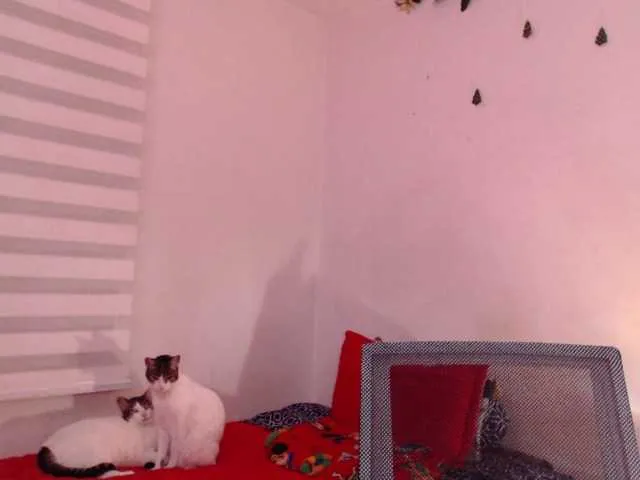 Sweet-Mishelle – webcam model profile photo Image 2