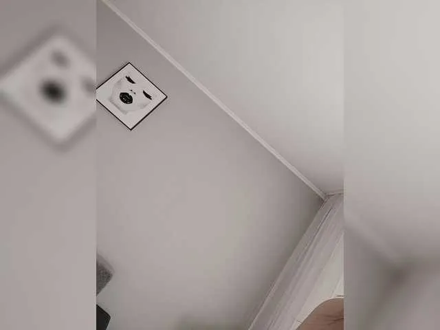 Ledi1 Image 2