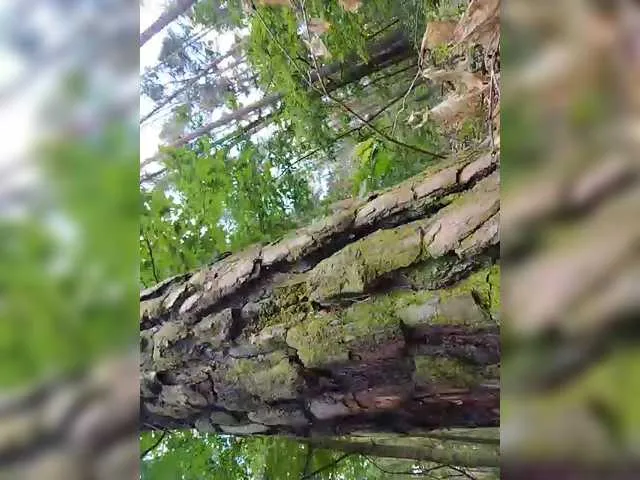 Nataly_Blonde – webcam model profile photo Image 7