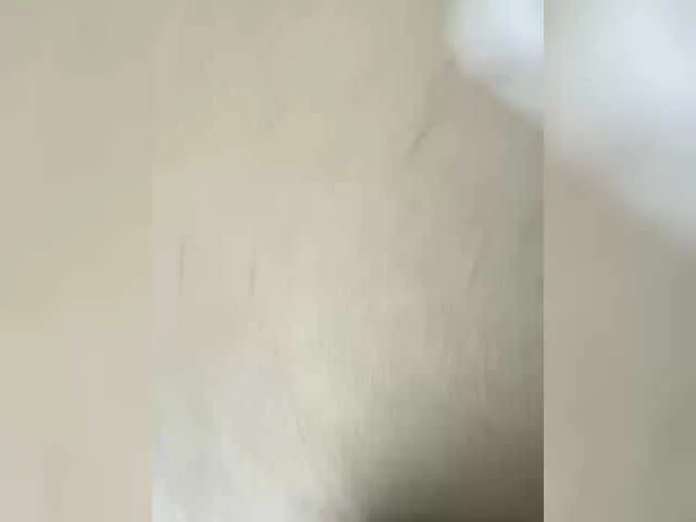 SusyBlair – webcam model profile photo Image 19