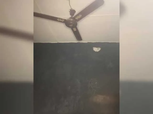 KamaFeels – webcam model profile photo Image 5