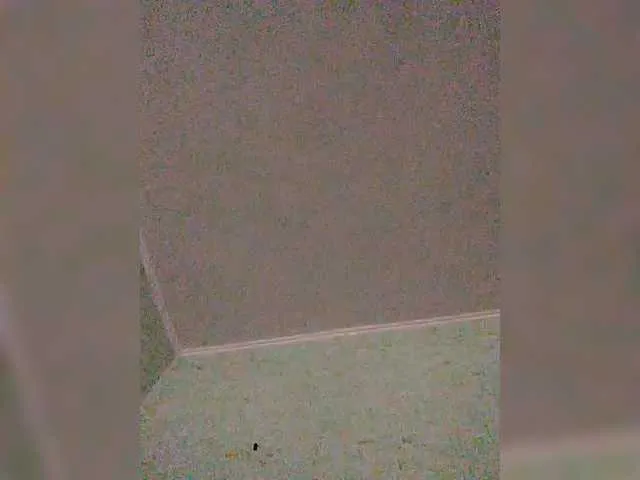 Ritia Image 6