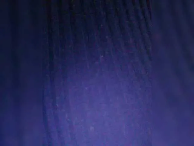 vesna2020 Image 6