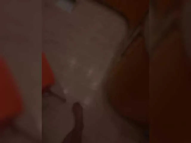 XKotikiX Image 14