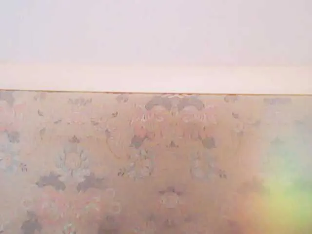 LannaGracesX – webcam model profile photo Image 17