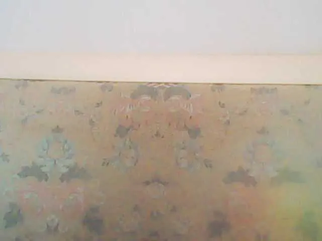 LannaGracesX – webcam model profile photo Image 8