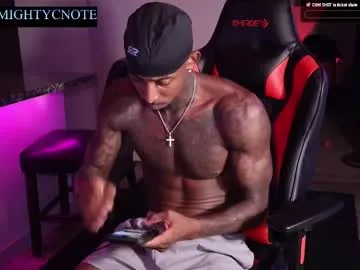 str8gaywannaplay – webcam model profile photo Image 7