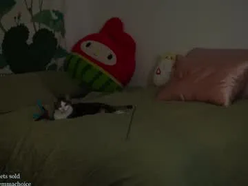 xxxDirtyBitchxxx – webcam model profile photo Image 10