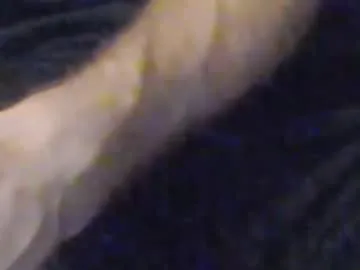 aceafterhours – webcam model profile photo Image 16