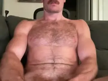 SusyBlair – webcam model profile photo Image 15