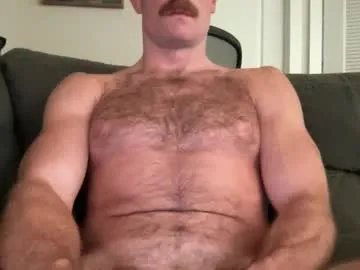 SusyBlair – webcam model profile photo Image 19