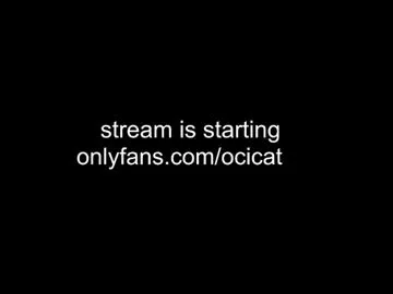ocicat Image 2