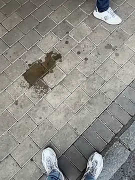 KamaFeels – webcam model profile photo Image 19