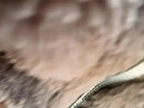 blondeangel_4u2 – webcam model profile photo Image 4