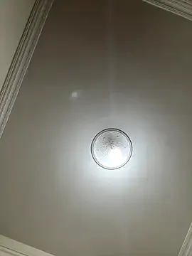 SusyBlair – webcam model profile photo Image 19