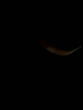 LizzieGreyX – webcam model profile photo Image 5