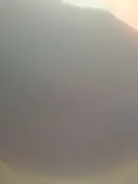 lesbifelinas – webcam model profile photo Image 6