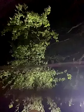 marsandvenera – webcam model profile photo Image 16