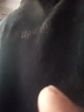 Benson18y – webcam model profile photo Image 18