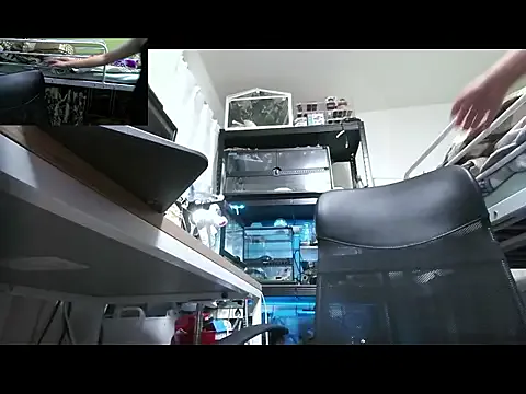 Ellalouisee89 – webcam model profile photo Image 9