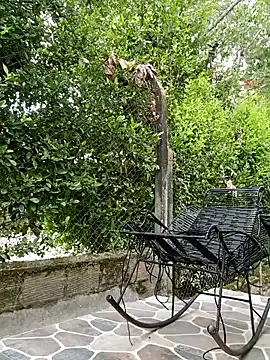 Najya_Sahar – webcam model profile photo Image 3