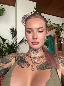 Stella-Kink Image 14