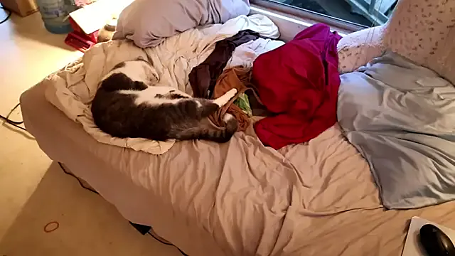 Adel9 – webcam model profile photo Image 10